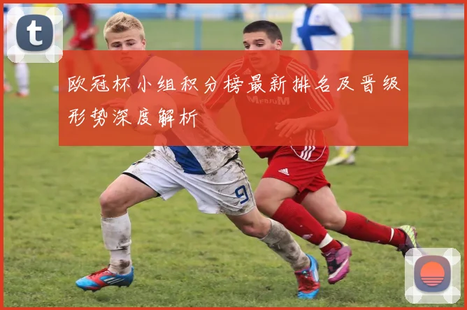 欧冠杯小组积分榜最新排名及晋级形势深度解析