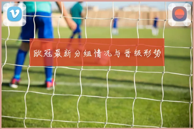 欧冠最新分组情况与晋级形势