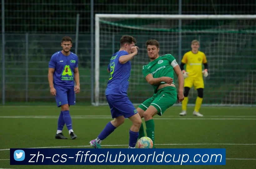 世界杯赛程服务体系