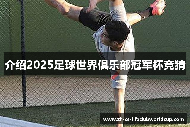 介绍2025足球世界俱乐部冠军杯竞猜